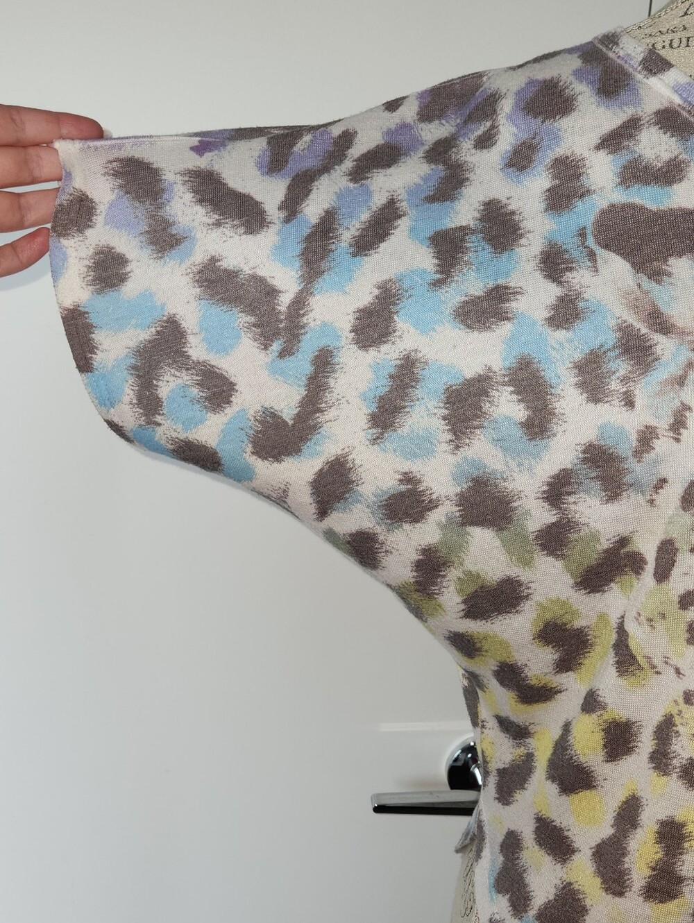 Leopard - Picture 6 of 11